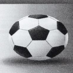 Fußballteppich - Pleun Champion Grau