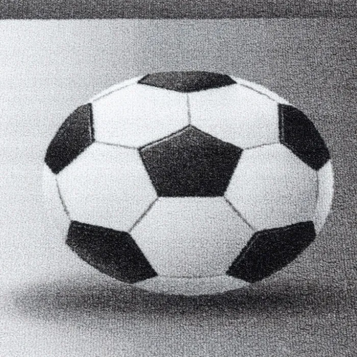 Fußballteppich - Pleun Champion Grau